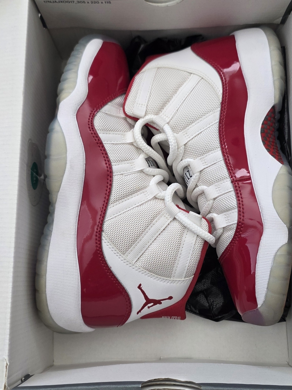 Air Jordan Retro 11